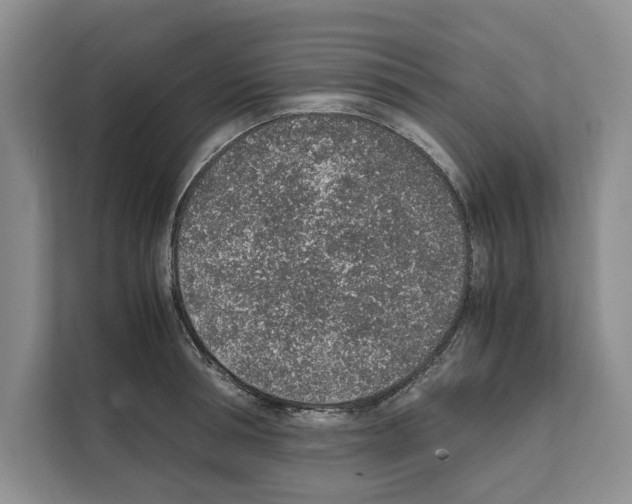 X0000111650994200908281045