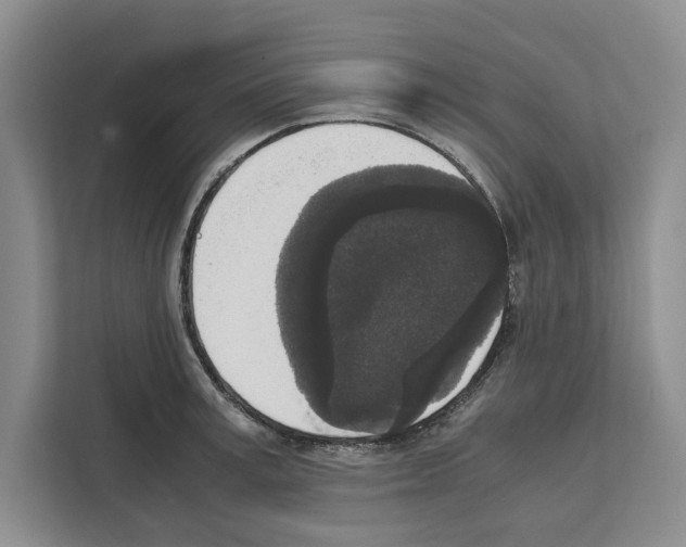 X0000111650995200908281045