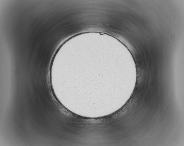 X0000111650996200908281045