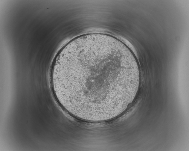 X0000111650997200908281045