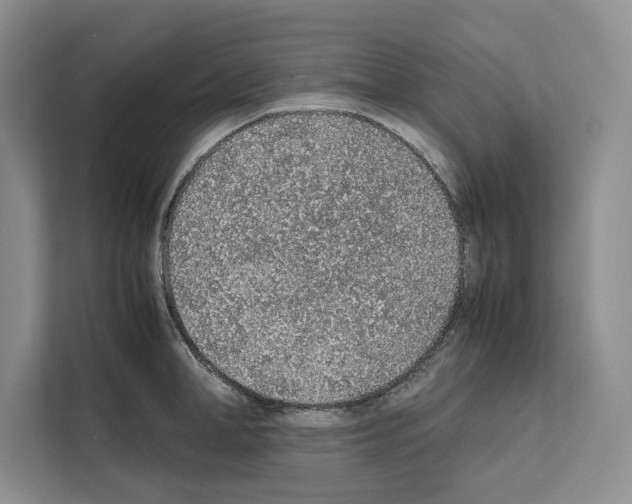 X0000111650998200908281045