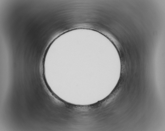 X0000111650999200908281045