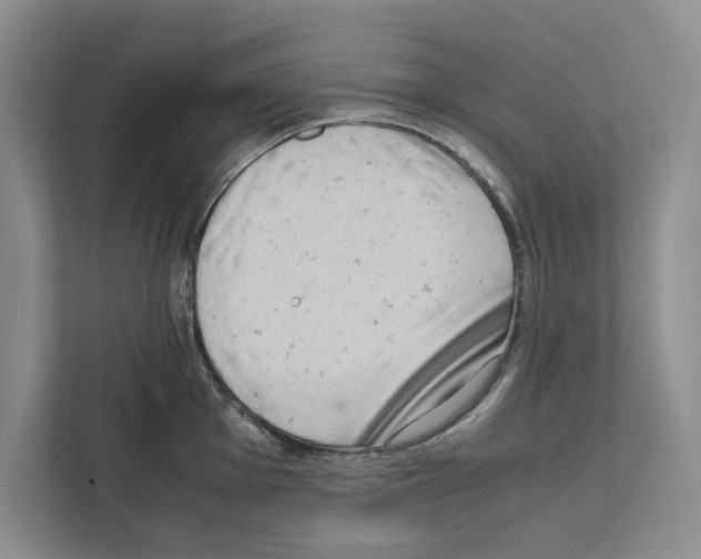 X0000111651001200908281045