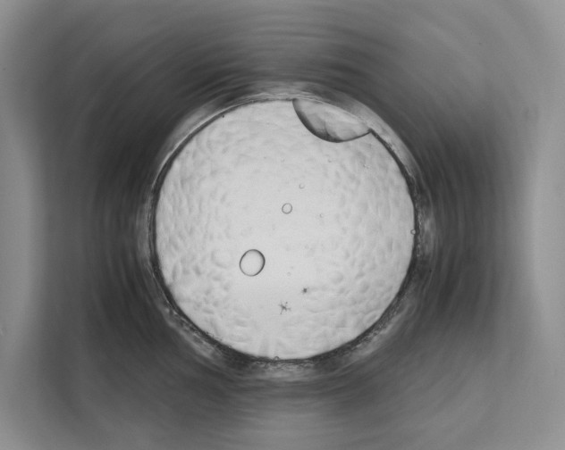 X0000111651002200908281045