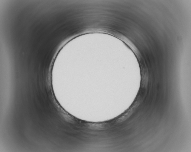 X0000111651004200908281045