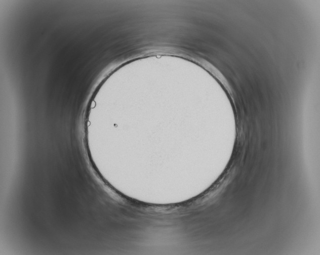 X0000111651005200908281045