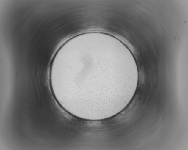 X0000111651006200908281045