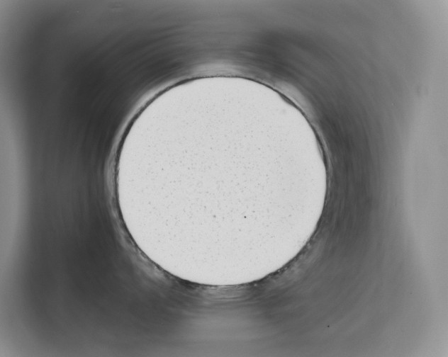 X0000111651008200908281045