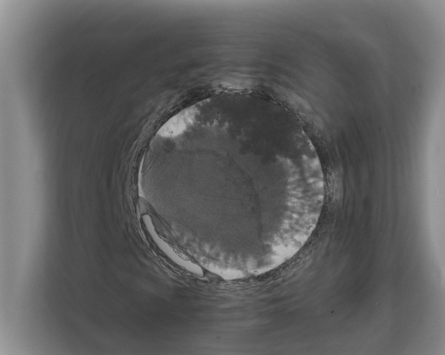X0000111651009200908281045