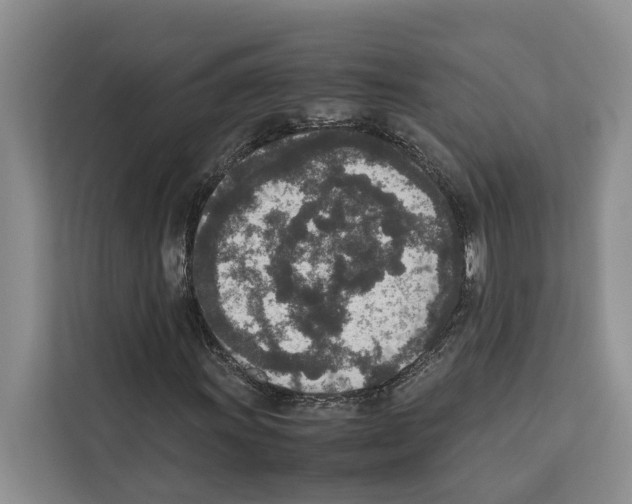 X0000111651011200908281045