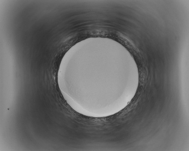 X0000111651013200908281045