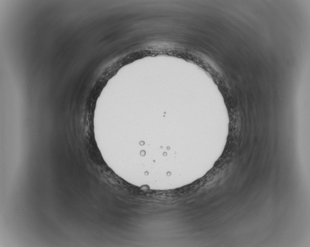 X0000111651016200908281045