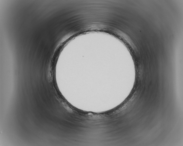 X0000111651018200908281045