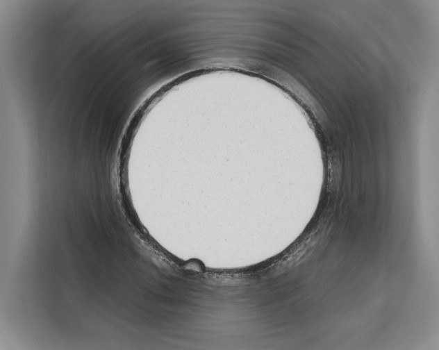 X0000111651020200908281045