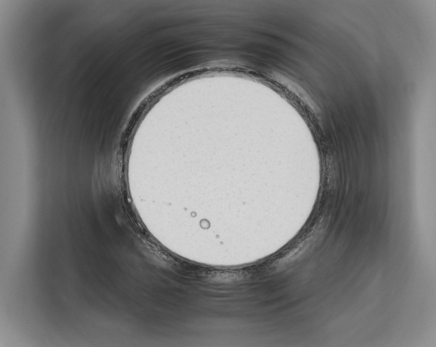 X0000111651021200908281045