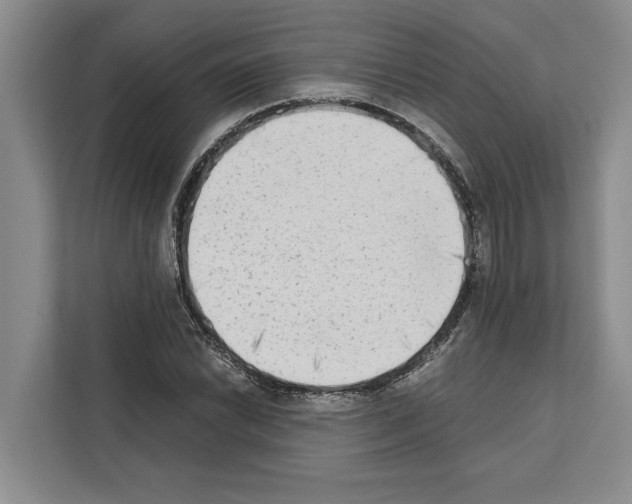 X0000111651022200908281045