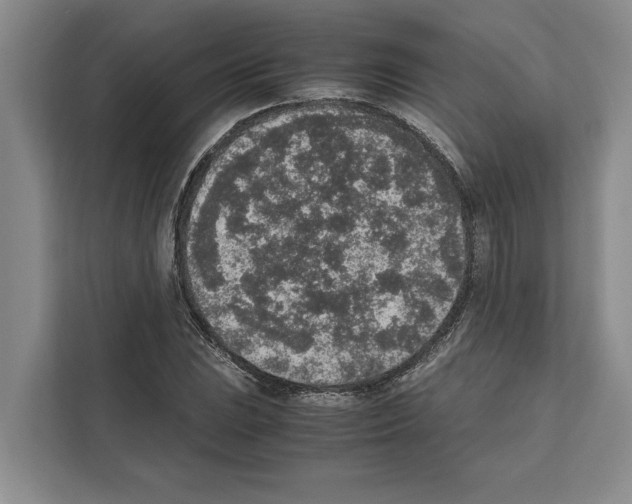 X0000111651023200908281045