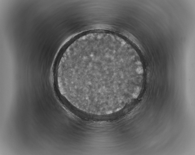 X0000111651024200908281045