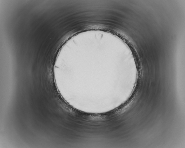 X0000111651025200908281045