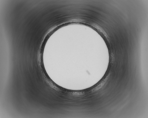 X0000111651029200908281045