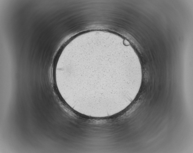 X0000111651030200908281045