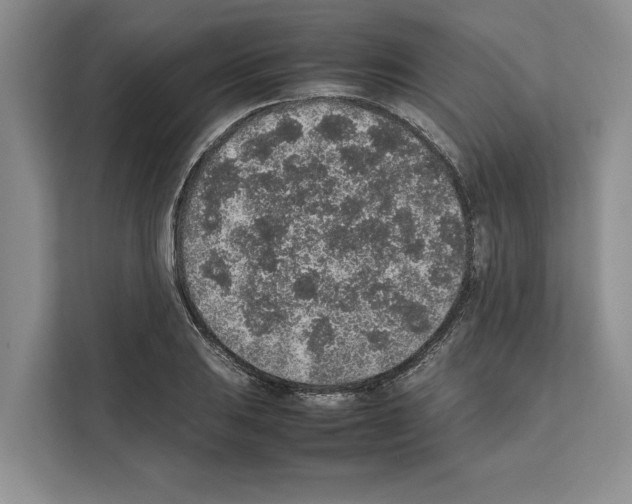 X0000111651031200908281045