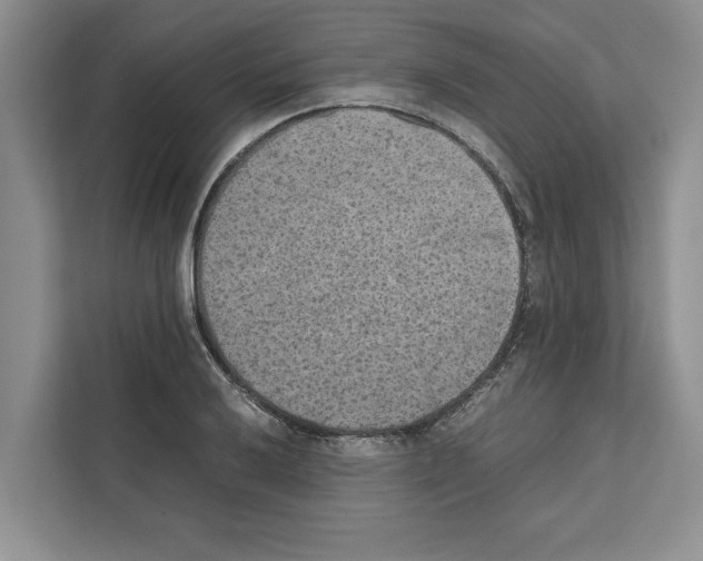 X0000111651032200908281045