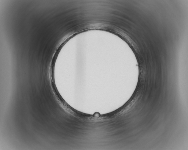 X0000111651034200908281045