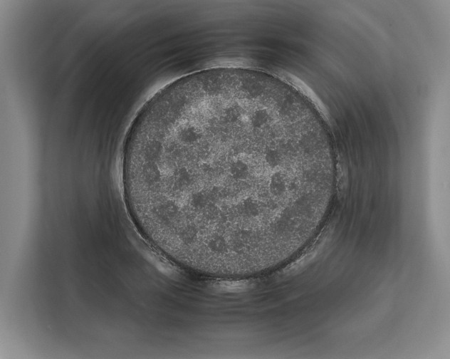 X0000111651035200908281045