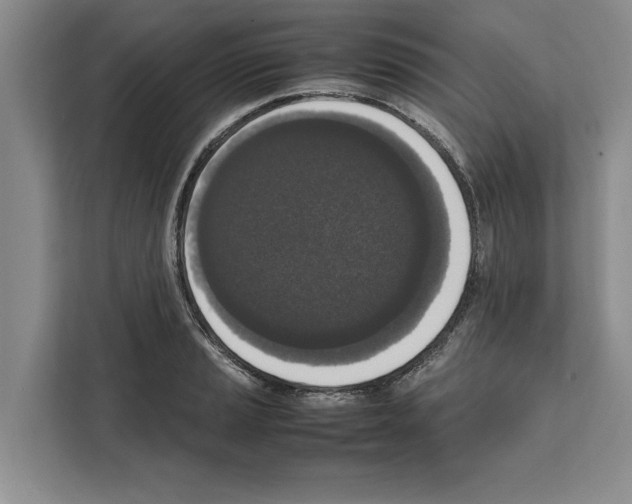 X0000111651037200908281045