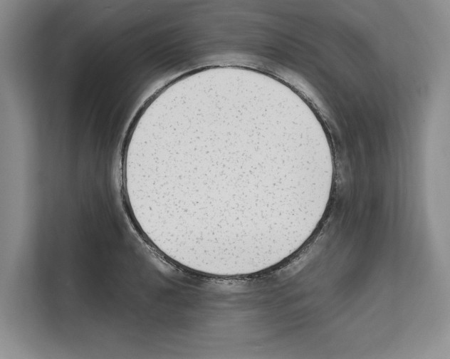 X0000111651040200908281045