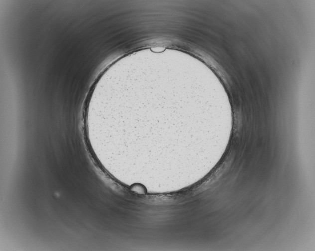 X0000111651042200908281045