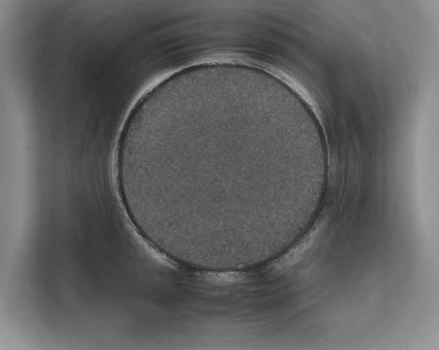 X0000111651045200908281045