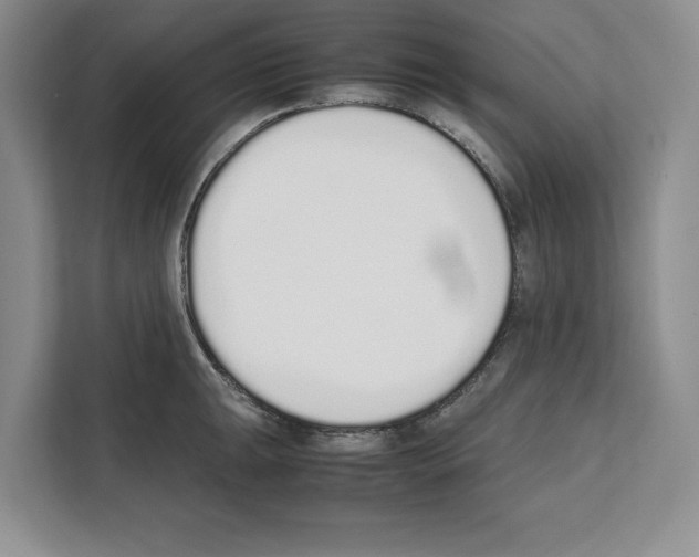X0000111651047200908281045
