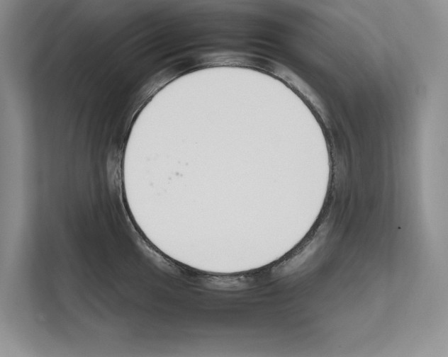 X0000111651049200908281045