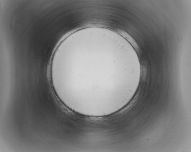 X0000111651052200908281045