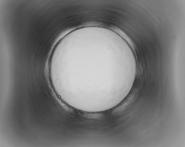 X0000111651053200908281045