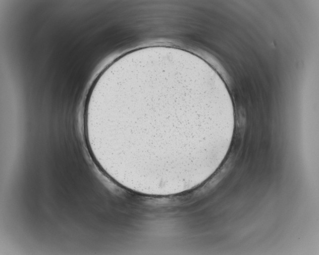 X0000111651054200908281045