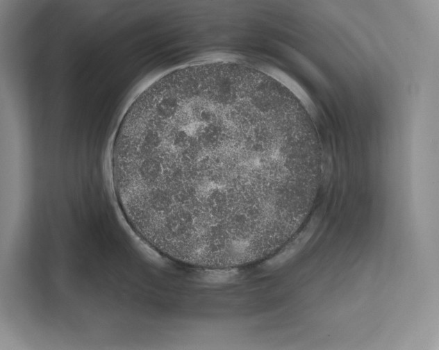 X0000111651055200908281045