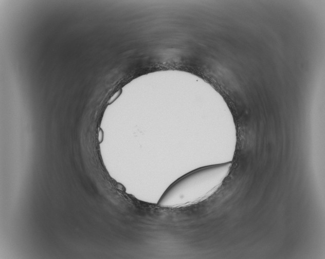 X0000111651057200908281045