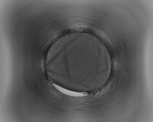 X0000111651060200908281045