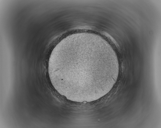 X0000111651064200908281045