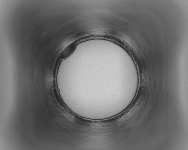 X0000111651065200908281045