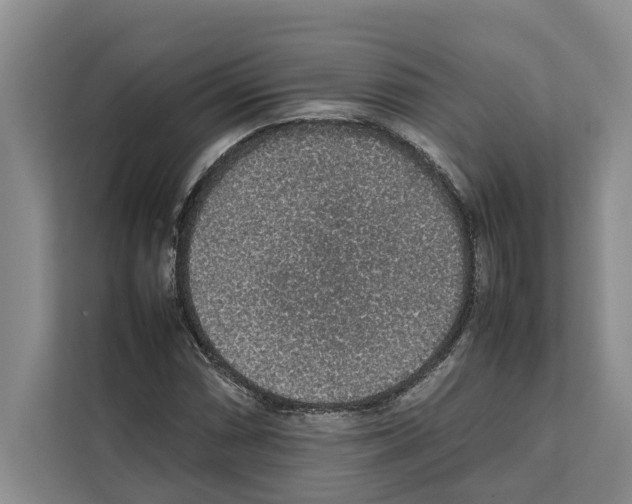 X0000111651066200908281045
