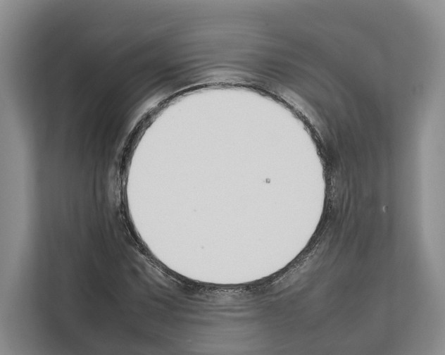 X0000111651067200908281045