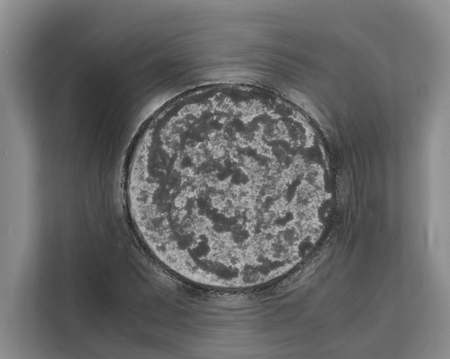 X0000111651071200908281044