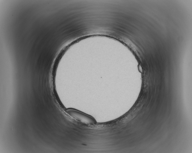 X0000111651072200908281044