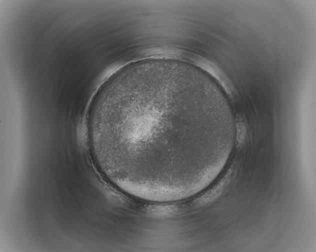 X0000111651074200908281044