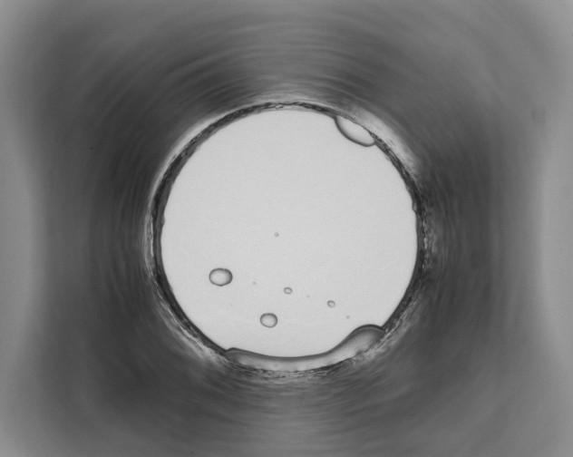 X0000111651076200908281044