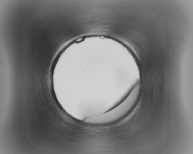 X0000111651077200908281044